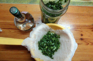 teinture de kolanchoe et vodka